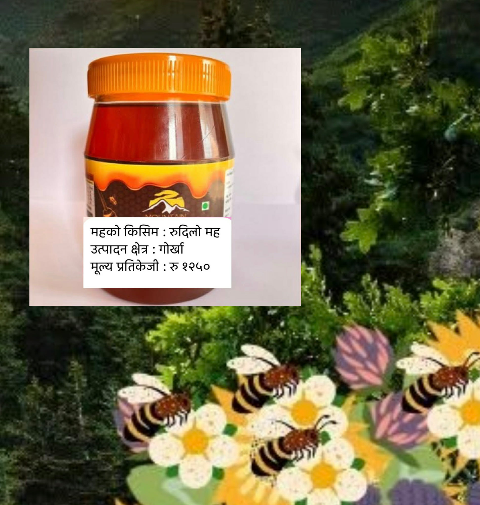 Rhododendron Honey